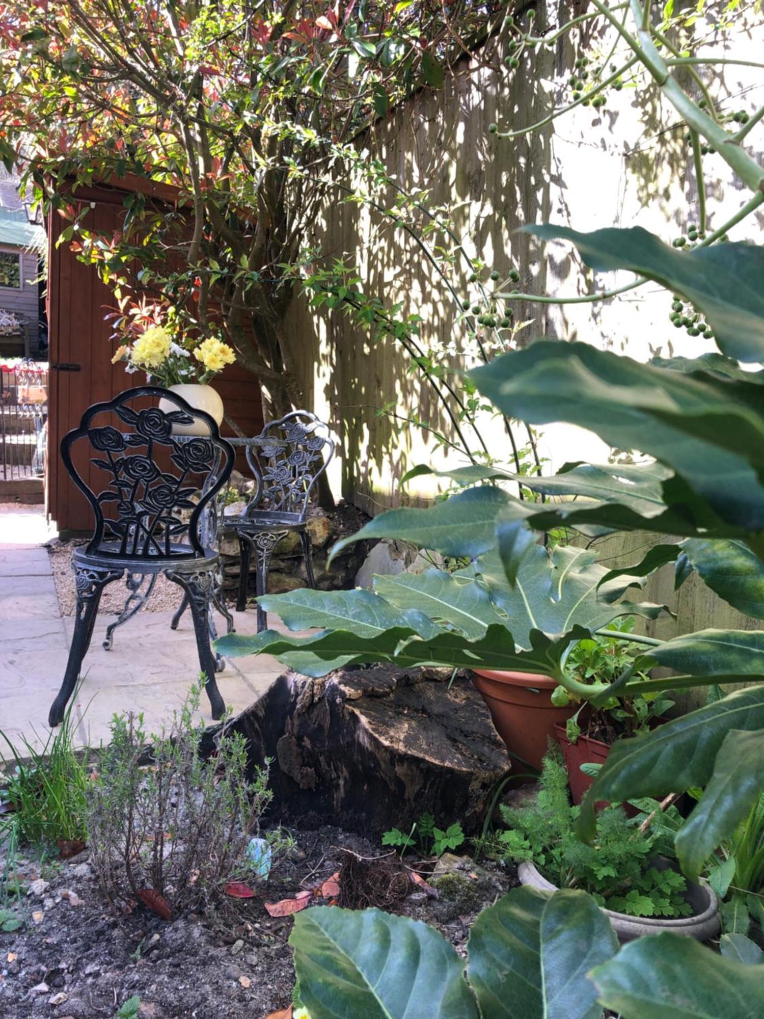 Driftwood Hideaway Alloggio in famiglia *